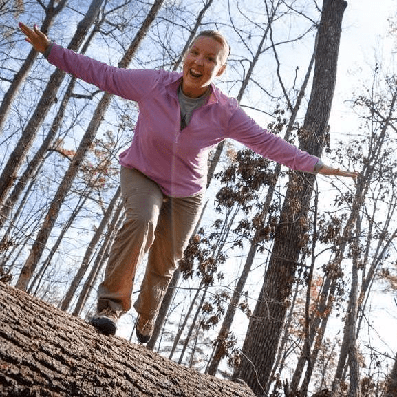 Welcome to the Health and Safety&nbsp;Ark